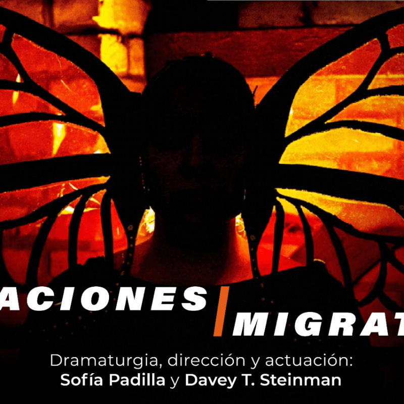 MIGRACIONES | MiGRATIONS