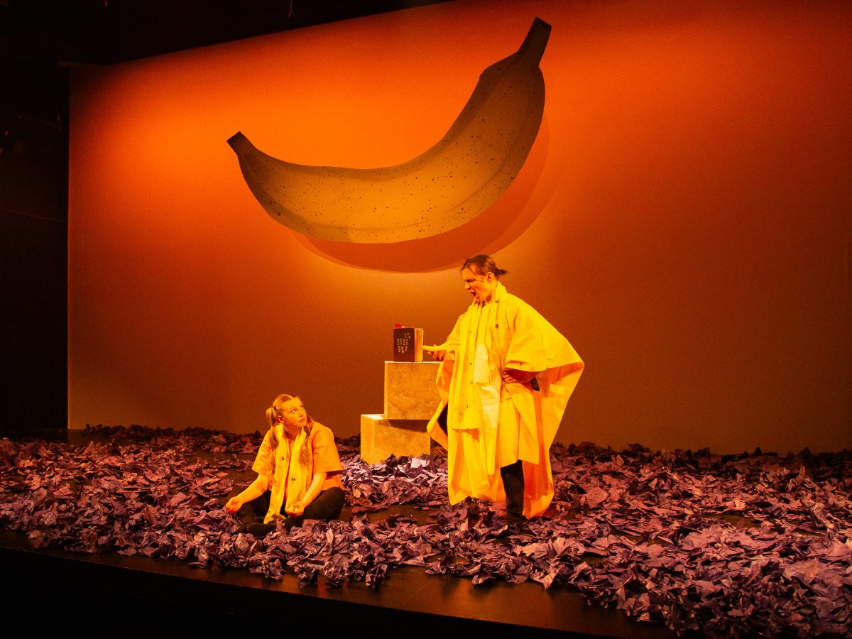 The Indoctrination of Bananas